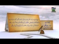 Documentary in urdu  faizan e waris ali shah