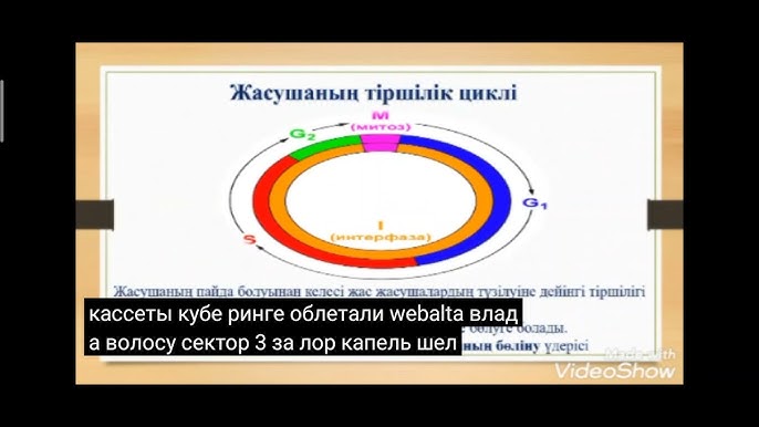Анамның досының порно видеосы Уфа қыздарының порно суреттері
