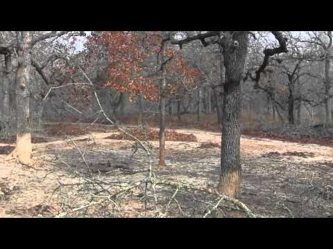 TGR Hog Hunting Tips for Success