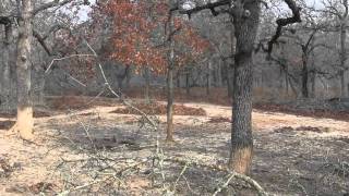 TGR Hog Hunting Tips for Success