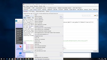BurpSuite training series - 4 - Comparer Tab