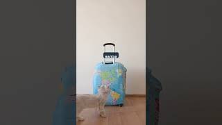 The Polish Travel basics you can't skip
