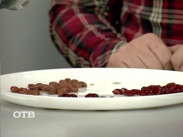 Народная проверка: как выбрать красную фасоль?