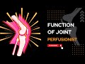 "Strong Bones and Flexible Joints: Unleashing Your Body's Potential"