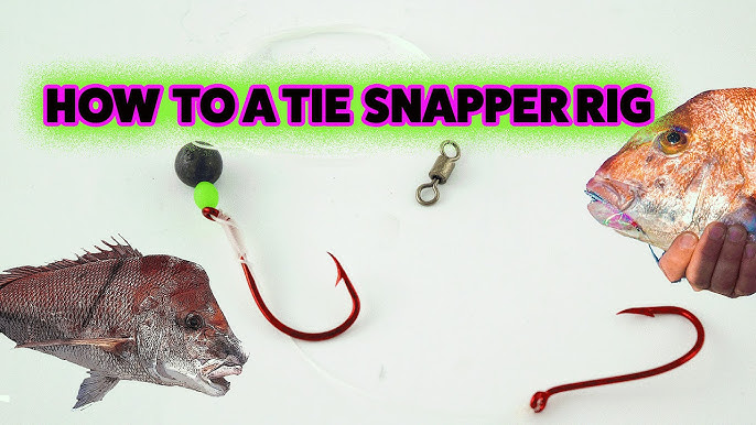 Snapper fishing - What bait to use 