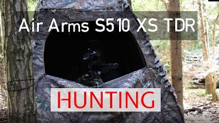 Air Arms S510 XS TDR - Hunting grey squirrels  - PART 2
