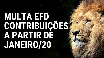 Como emitir a multa do SPED Contribuições?