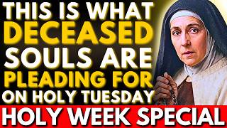 🙏WHAT DECEASED SOULS ARE PLEADING FOR THIS HOLY TUESDAY AND FEW DO IT — SAINT TERESA EXPLAINED IT