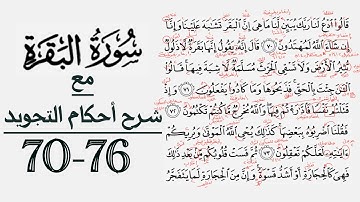 كيف تقرأ سورة البقرة مع شرح أحكام التجويد|٧٠-٧٦