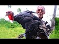 TURKEY Biryani Recipe | Delicious Turkey Biryani Recipe Prepared by Our Grandpa for Poor Children's