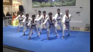 Taekwondo Demo-Team auf der ITB 2012 / Teil 2