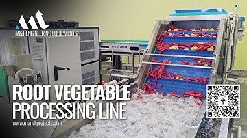 Root Vegetable Processing, Potato Washing Line, Potato Washer, Carrot Washer, Carrot Processing Line