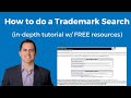 How To Do a Trademark Search (By a USPTO Patent Attorney)