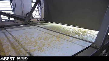Corn sorting machine Genius - TOMRA Sorting