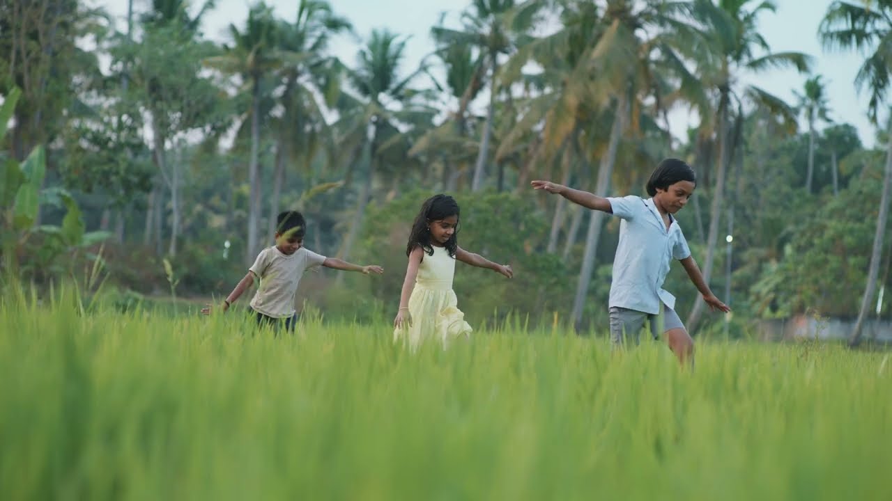 Dragon Fly | Onam in a Nightie | Kerala Tourism