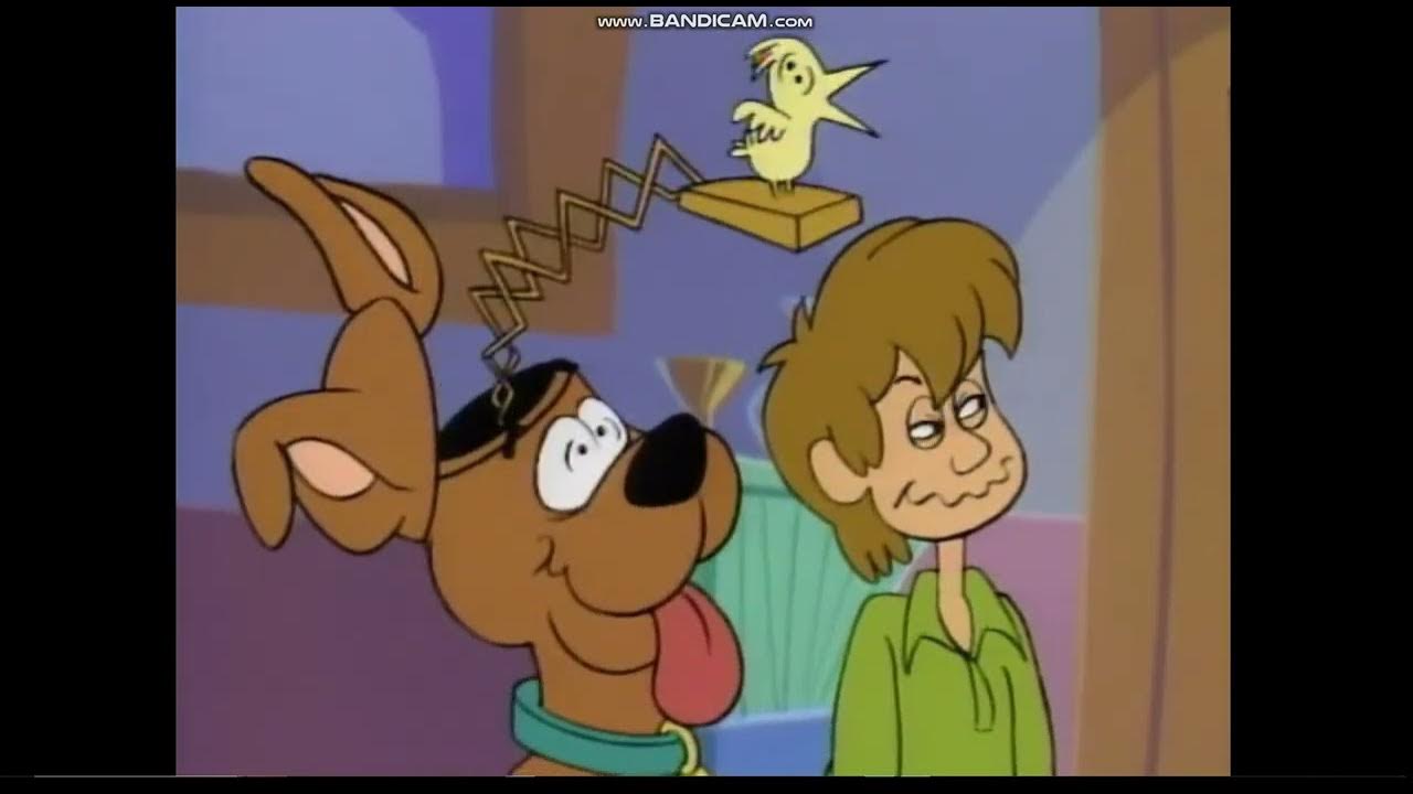 A pup named scooby doo reactions episodes 1 4 youtube