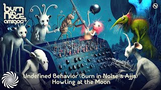 Undefined Behavior Burn In Noise Ajja - Howling At The Moon