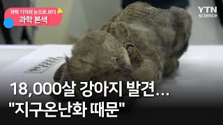 [과학본색] ② 18,000살 강아지 발견…