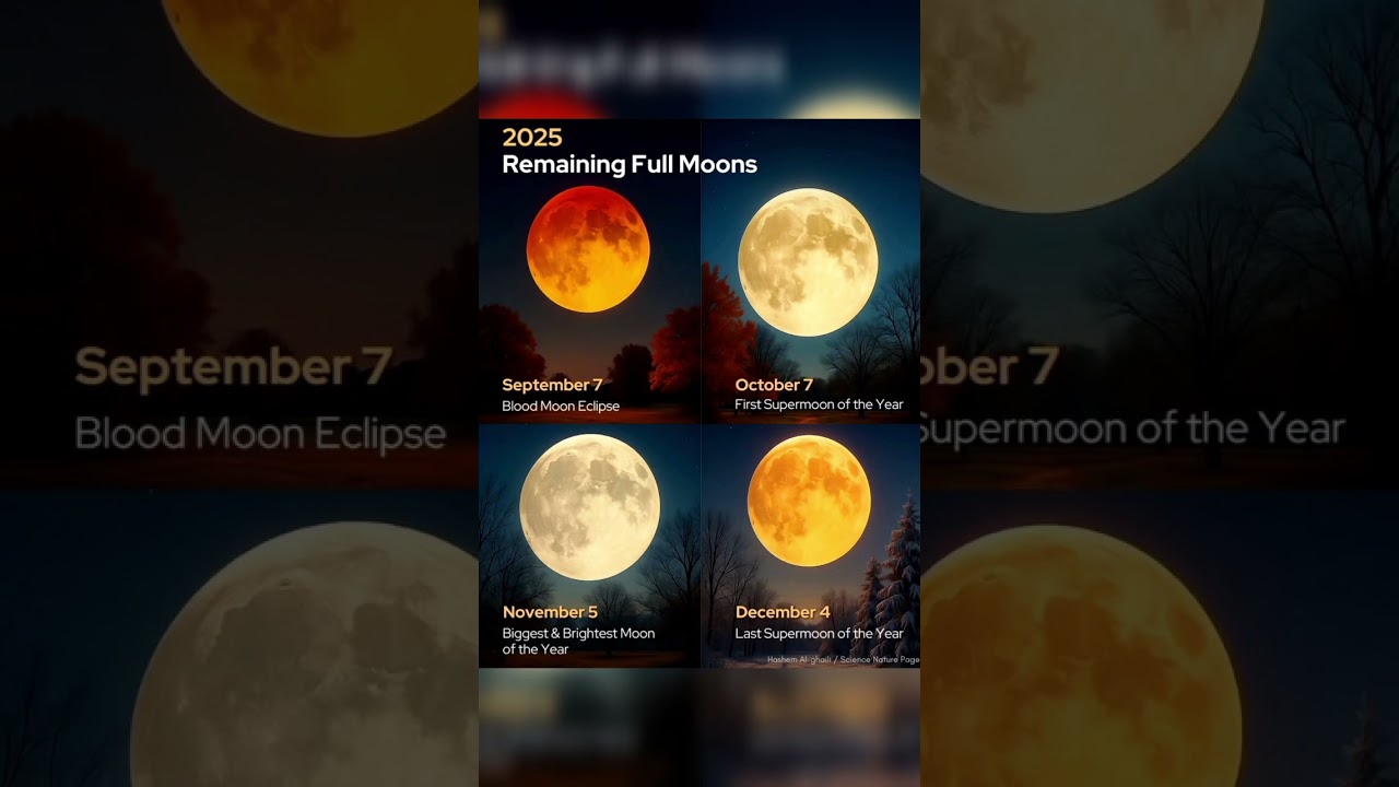 LUNAR HIGHLIGHTS 2025 🌌 