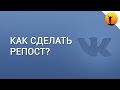 Как сделать репост в ВК (ВКонтакте)?