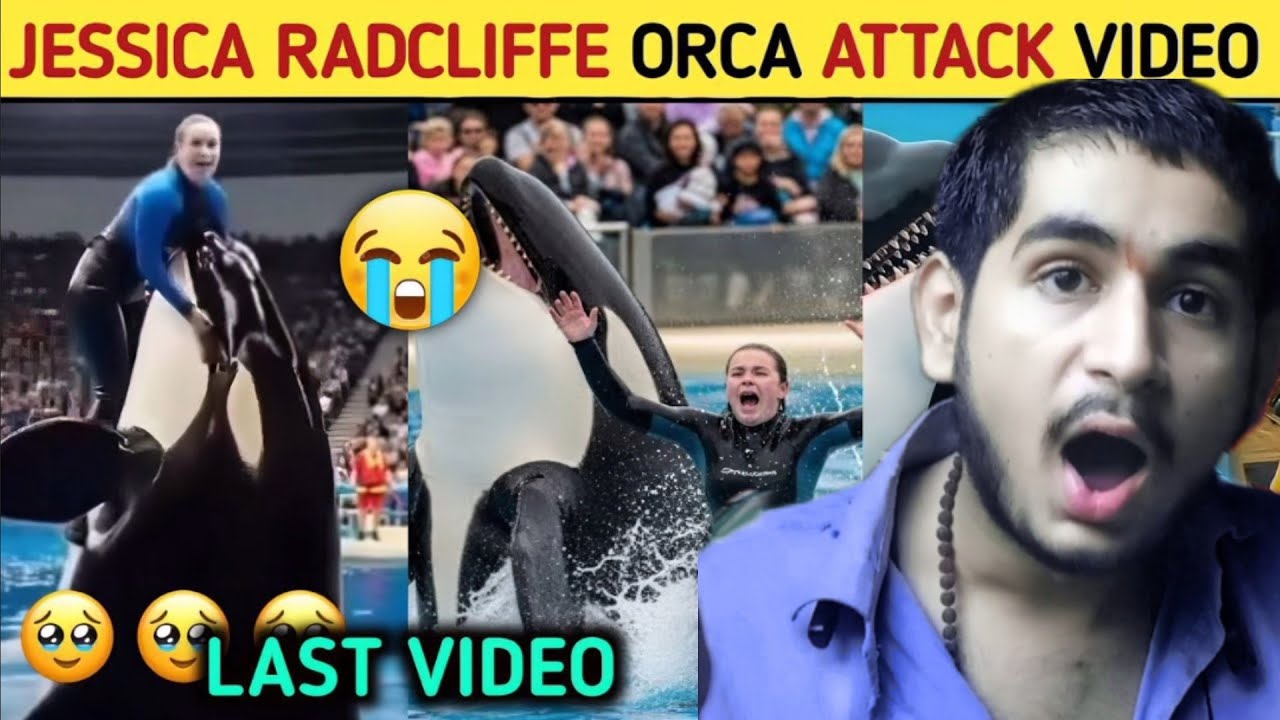 Jessica and Orca full story reaction 💔|Dolphin ne ek ladki ko khaya 😱|full story reaction |