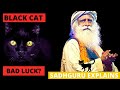 Does a black cat crossing your path brings bad luck  superstition explained by sadhguru