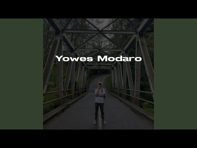 Yowes Modaro class=