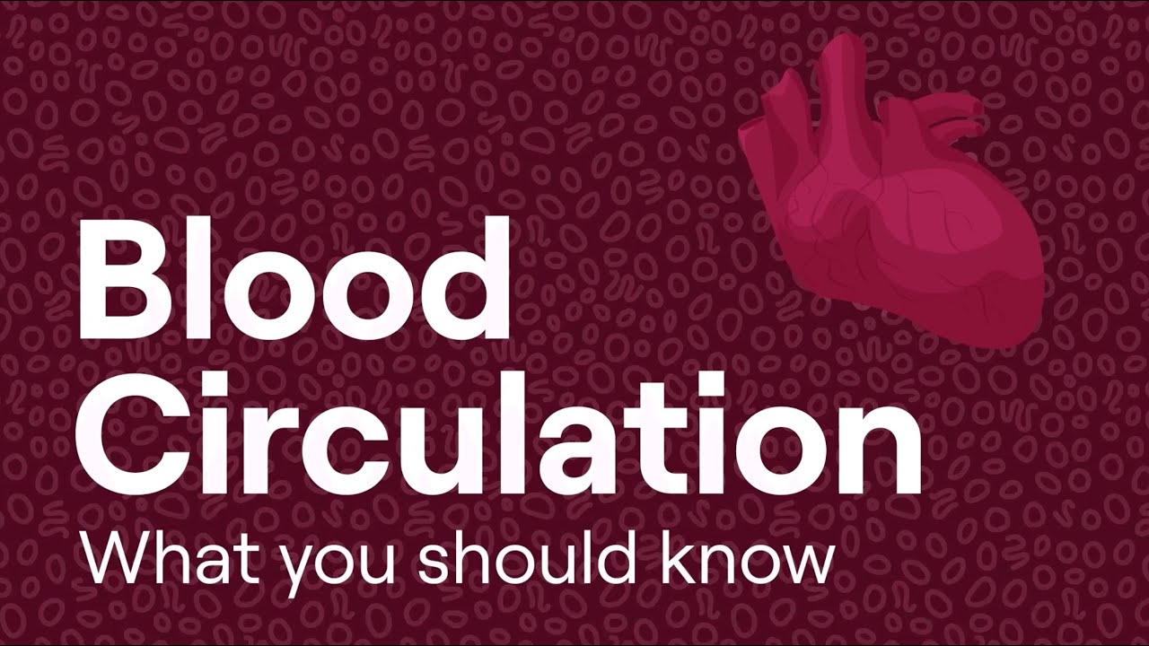 Why Good Blood Circulation is so Important for Body