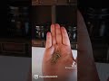 Rosemary🌿