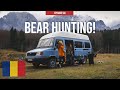 BEAR HUNTING in Romania! 🇷🇴