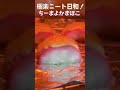 【30秒簡単おつまみ】かまぼこにはさんだチーズがとろり！香ばしく焼けたマヨに七味でうまぴよな一品！#shorts