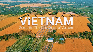 VIETNAM Timeless Charm from Above | Việt Nam Tuyệt Đẹp Qua Góc Nhìn Flycam | Traveller