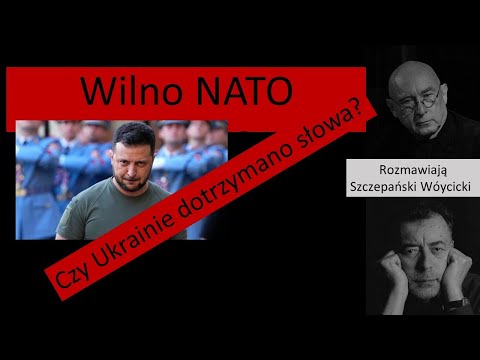                     Czy Ukraina otrzymuje dość poparcia od NATO ?
                              