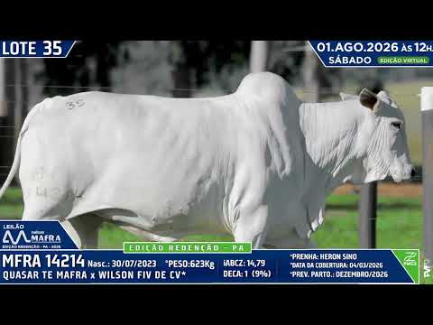 LOTE 35    MFRA 14214