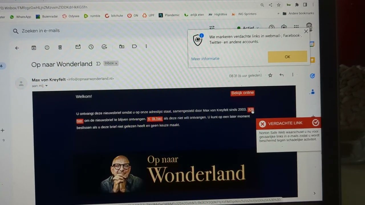 wonderland email invite