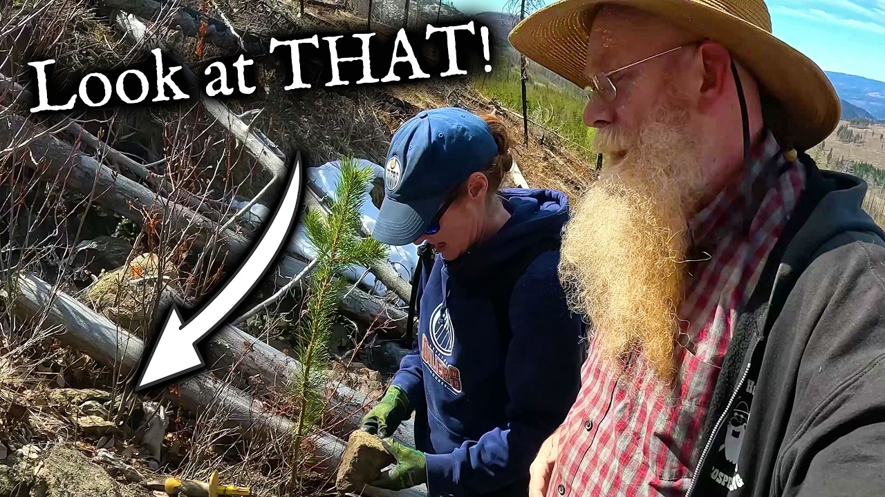 Opal Hunting  - New Canadian Opals!