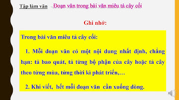 Tập làm văn 4 (Tuần 23) Đoạn văn trong bài văn miêu tả cây cối