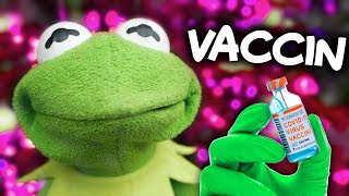 KERMIT - VACCIN (All i Want for Christmas Parodie)🎄