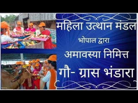 महिला उत्थान मण्डल भोपाल द्वारा अमावस्या पर गौ ग्रास भंडारा