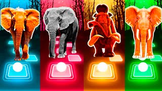 Tiles Hop - Elephant 🆚 Mammoth 🆚 Funny Elephant 🆚 Elephant 🎶 Tiles Hop EDM Rush screenshot 4