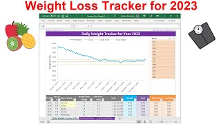 Daily Weight Tracker Spreadsheet for 2023 | Track Your Weight Loss Journey in Simple Excel Charts screenshot 2