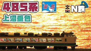 【N鉄】Tomix JR 485系特急電車(上沼垂色・雷鳥)| Nゲージ鉄道模型走行動画 | rios circle