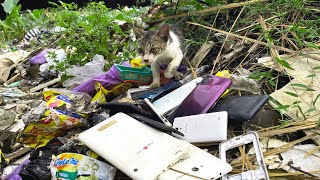 видео: Ищем брошенный телефон на помойке || Восстановление Заброшенного Разрушенного Телефона картинка: Ищем брошенный телефон на помойке || Восстановление Заброшенного Разрушенного Телефона