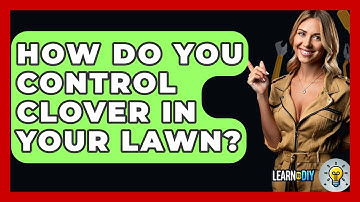 How Do You Control Clover In Your Lawn? - LearnToDIY360.com