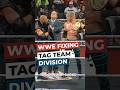 WWE Fixing Their Tag Team Division #WWE #RAW #Smackdown #Wrestling #TagTeam #EnzoAmore