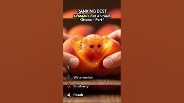 Ranking Best – AI ASMR Fruit Animals - Cute Kittens - Part 1 #asmr #cute #food #kittens