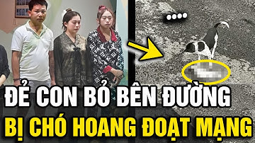 Xôn xao vụ người mẹ 
