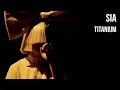 Sia - Titanium | sub Español   lyrics