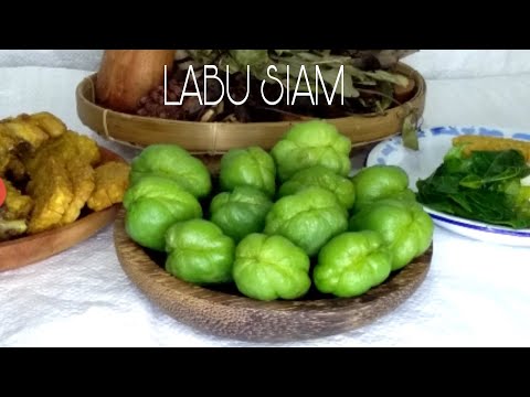 Cara Memasak Labu Siam Untuk Lalapan