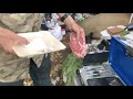 Homeless guy swears he can cook (ACTUALLY IMPRESSED)...